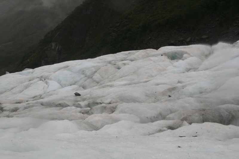 Nieuw-Zeeland 2011 - 1445